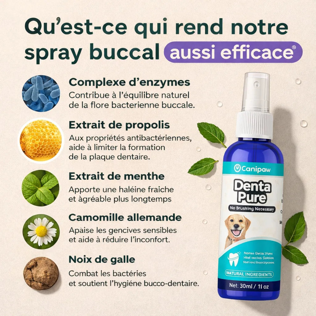 Canipaw DentaPure™ Spray Bucco Dentaire Chiens / Chats